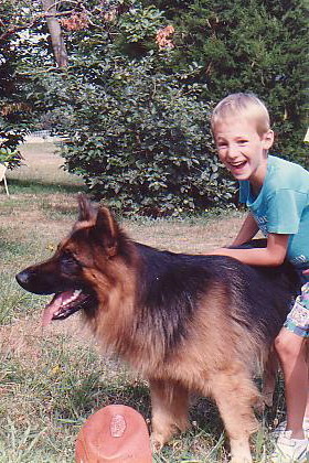 Perro adiestrado